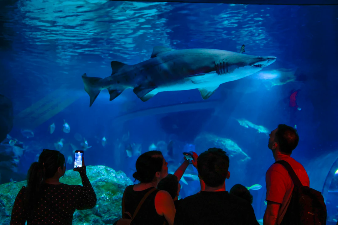 Sea Life Bangkok Tickets Review